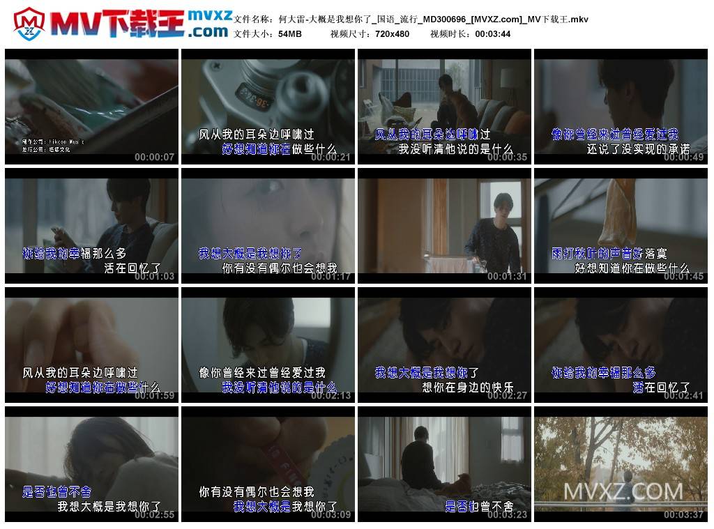 何大雷-大概是我想你了_国语_流行_MD300696